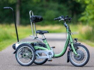 Van Raam Mini Tricycle